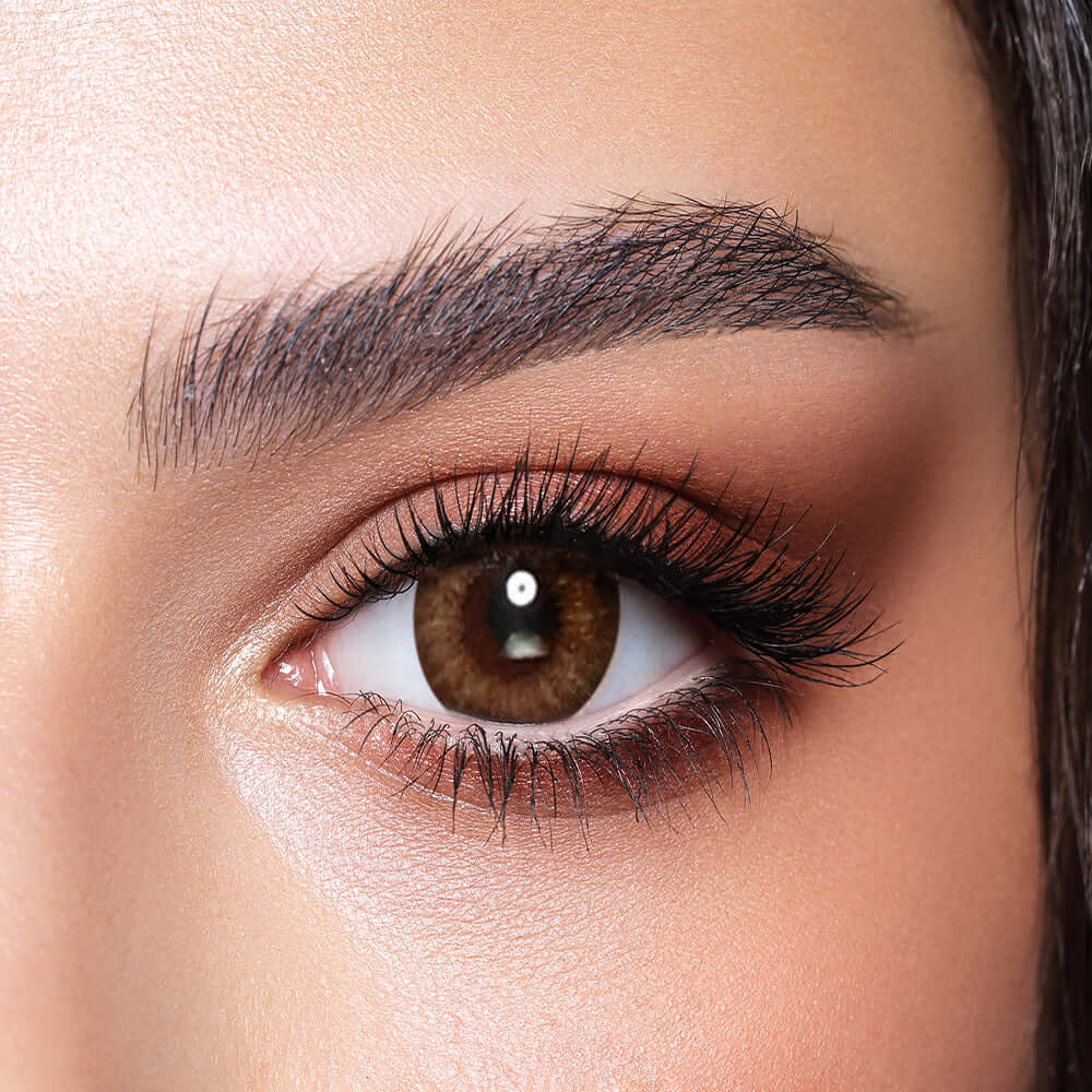 Almond Brown Bella Lenses | Bella One Day Collection