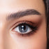 Bella Daily Contact Lenses, Bluish Gray, Bella One Day Collection, Bright blue and gray tones, slight limbal ring, rich blue hues with beautiful gray tones