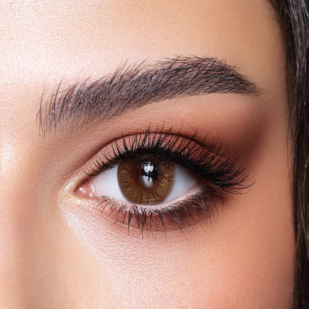 Hazel Honey Lenses - Bella One Day Collection