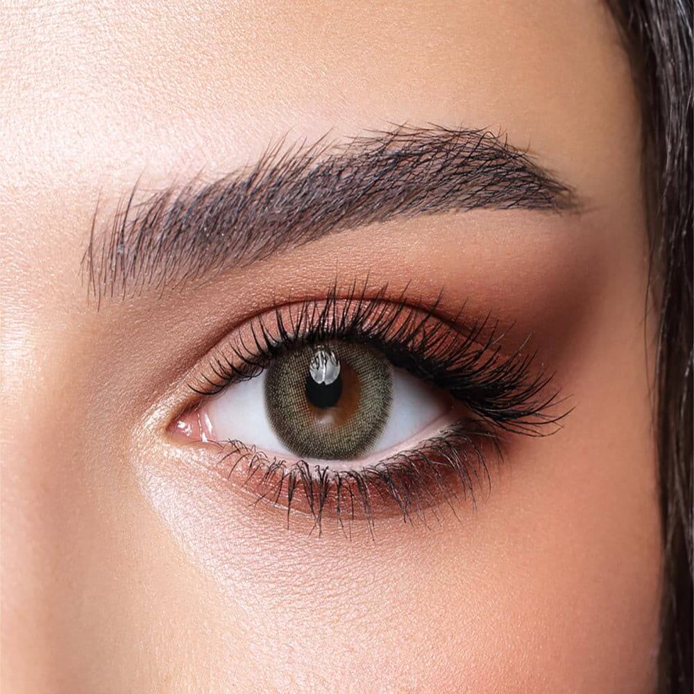 Pine Lenses - Bella One Day Collection