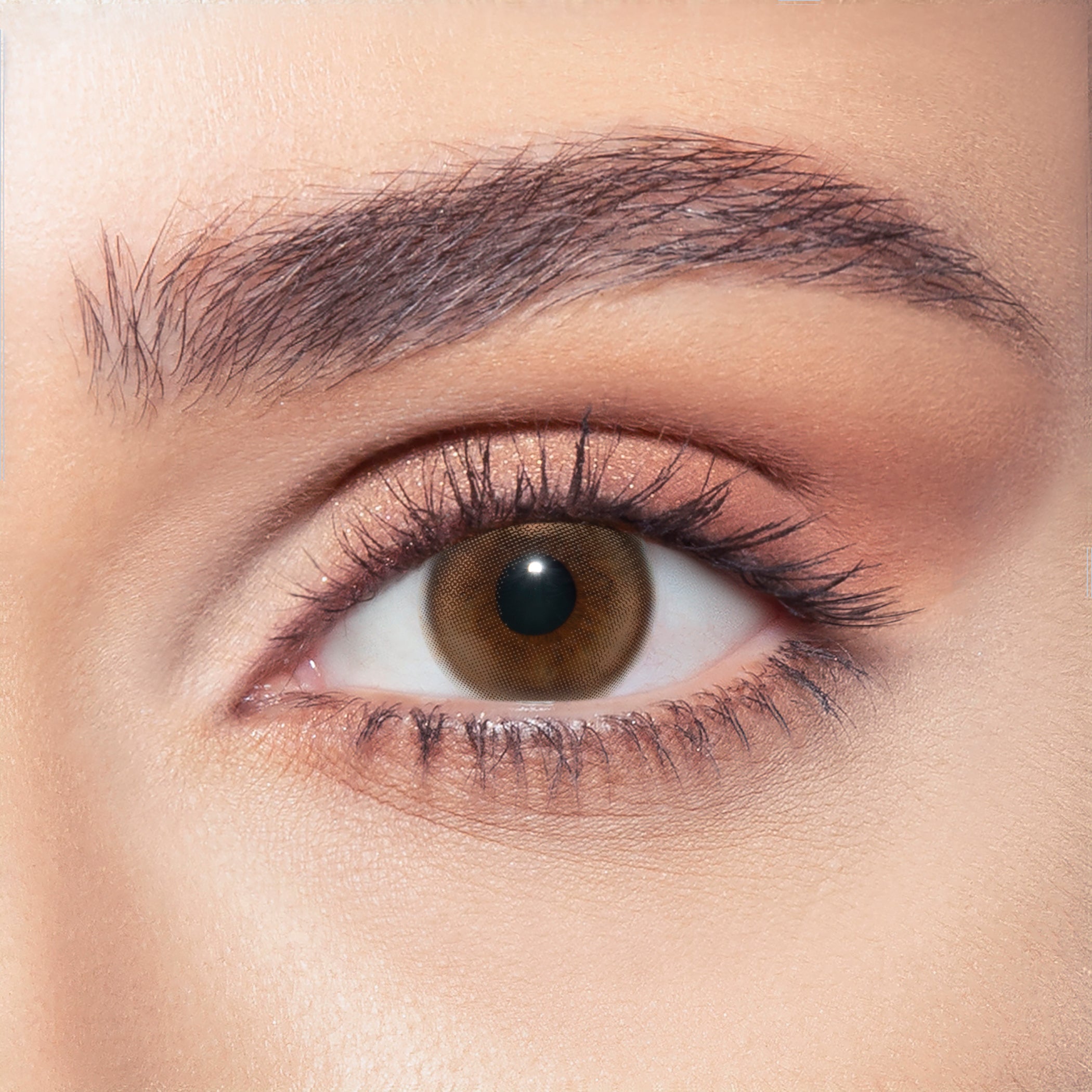 Siren Bronze Contact Lenses