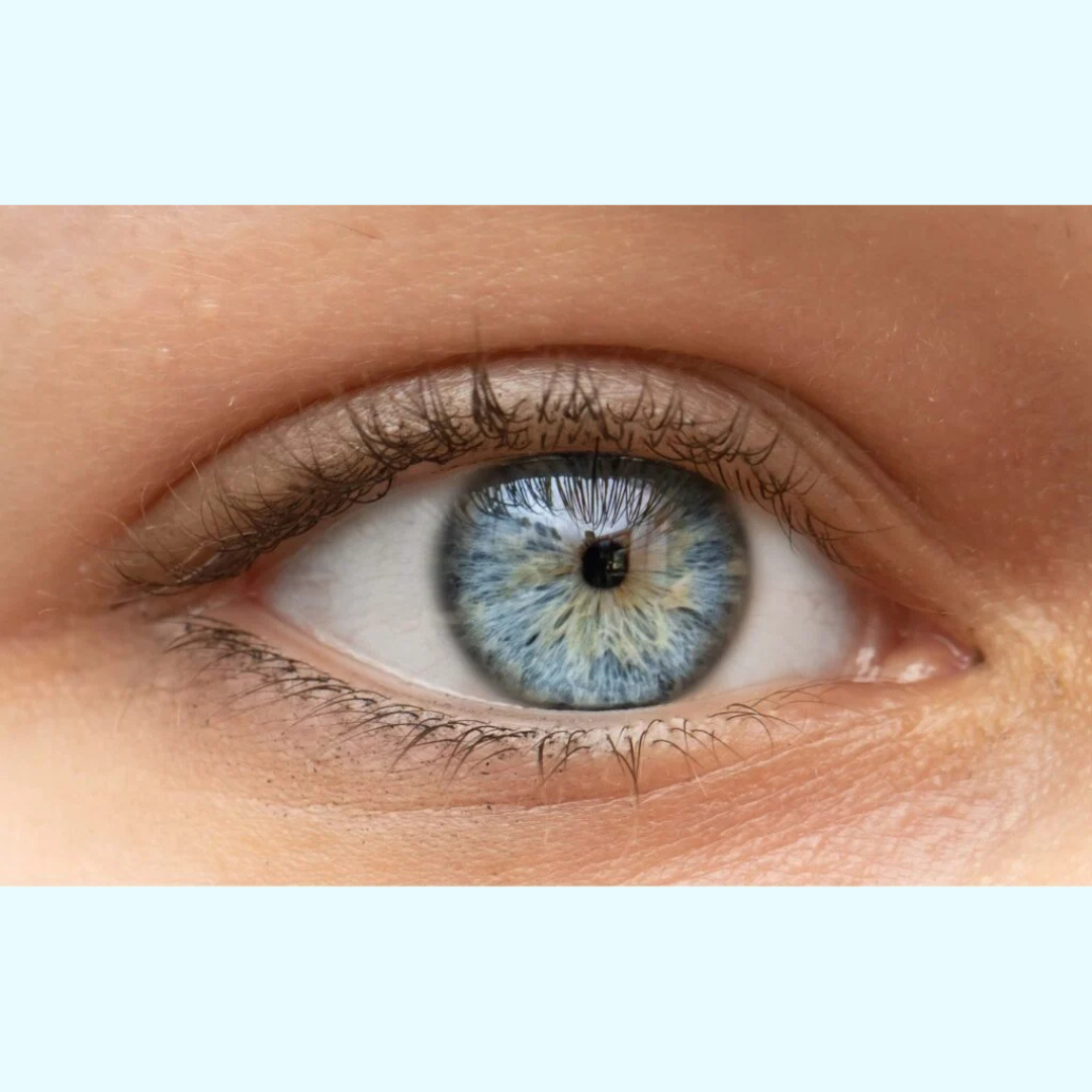 Bella contact lenses UK
