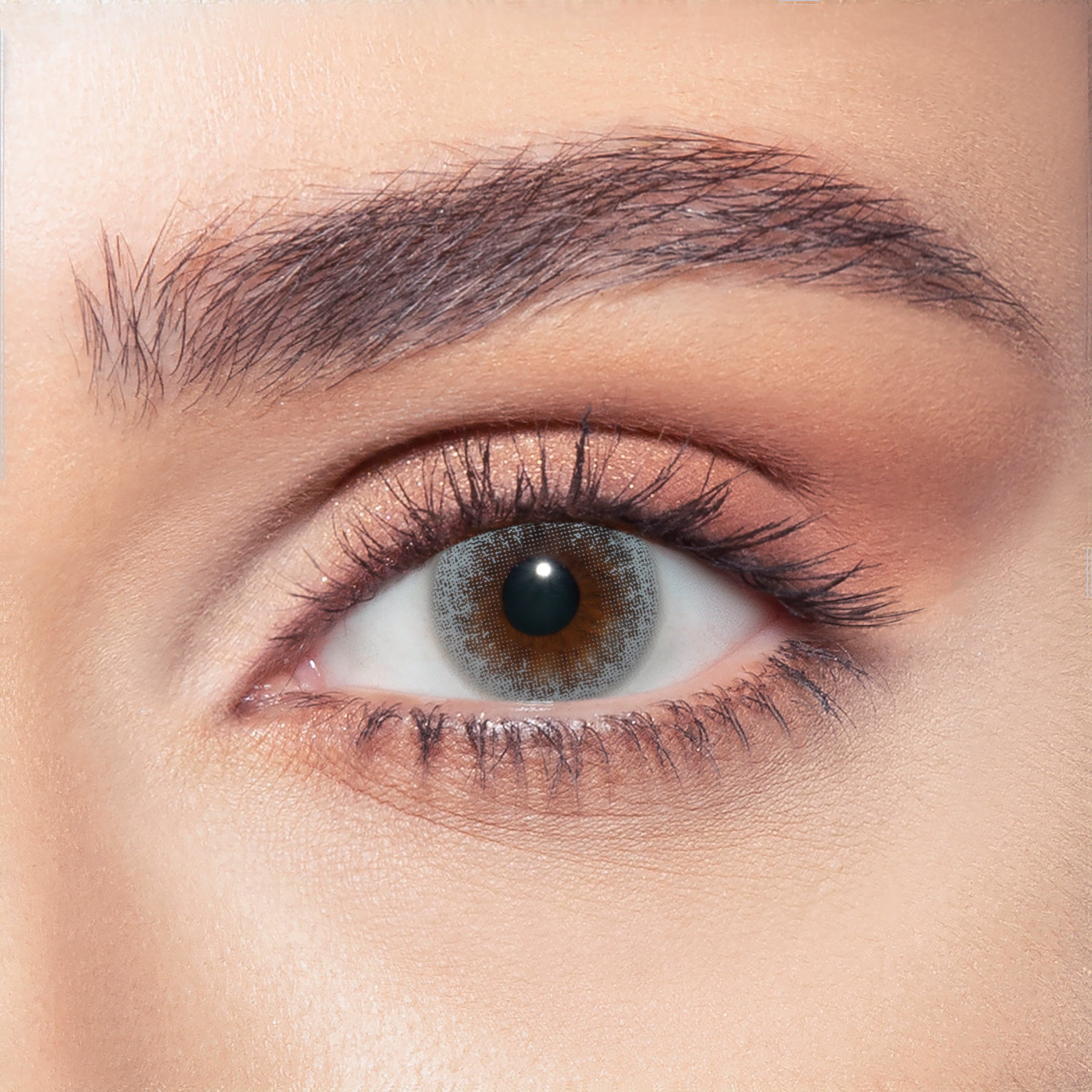 Silent Gray Contact Lenses